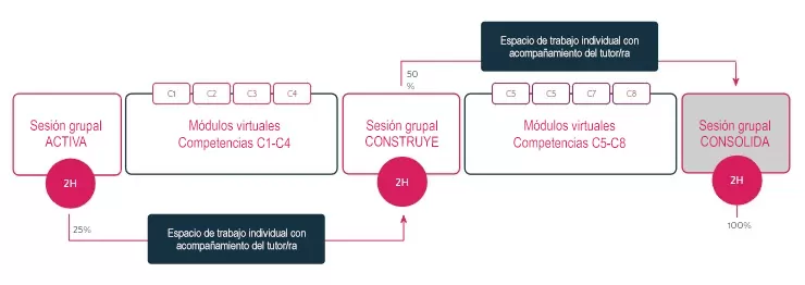 formacion-actic-esquema-plan-esp